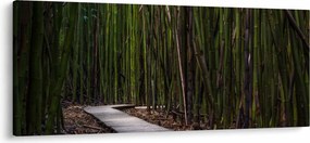 Tablou - Între bambus (120x50 cm)