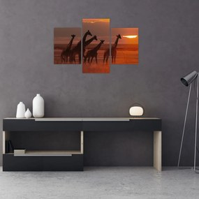 Tablou - Girafe în savana africană (90x60 cm)