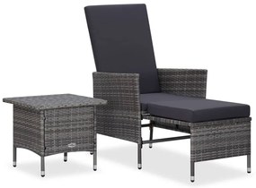vidaXL Set mobilier de grădină cu perne, 2 piese, gri, poliratan