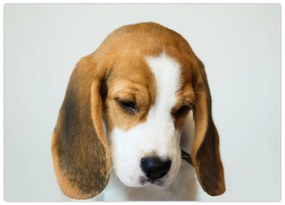 Tablou cu bigl (70x50 cm)