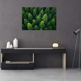 Tablou - Pădure (90x60 cm)