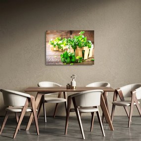 Tablou pe sticlă cu menta proaspătă (70x50 cm)