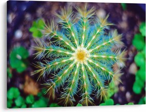 Tablou cu cactus (70x50 cm)