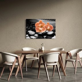 Tablou - Orhidee portocalii (90x60 cm)