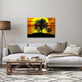 Tablou - Silueta copacilor (70x50 cm)