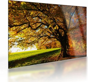 Tablou pe sticlă cu toamna (70x50 cm)