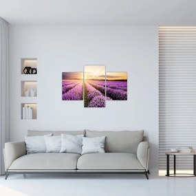 Tablou - Răsărit de soare în câmp de lavandă (90x60 cm)