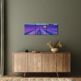 Tablou - Câmp de levănțica (cu ceas) (90x30 cm)
