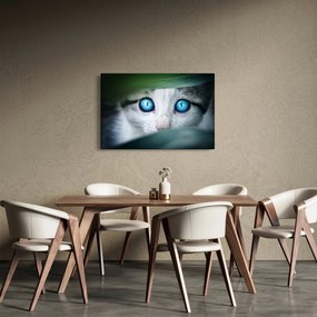 Tablou cu pisica (90x60 cm)