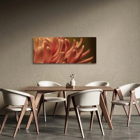 Tablou cu detailu florii (120x50 cm)