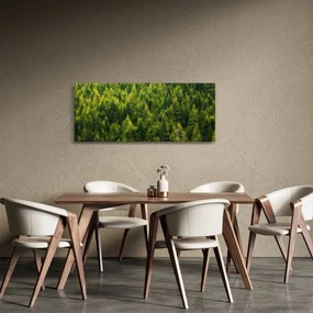 Tablou - Pădure deasă (120x50 cm)