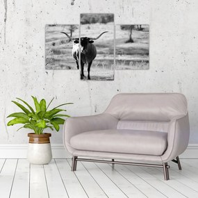 Tablou - Vacă,alb-negru (90x60 cm)
