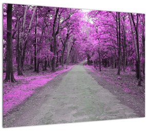 Tablou - drum prin parc (70x50 cm)