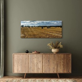 Tablou cu câmp recoltat (120x50 cm)