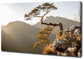 Imprimare tablou canvas Pieniny sokolica