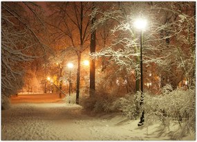 Tablou - Parcul înzăpezit (70x50 cm)