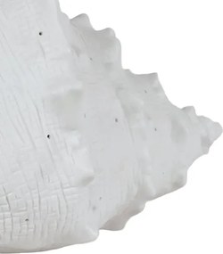ONLI - Lampă de masă PORCELLANA 1xE14/6W/230V 29 cm scoică
