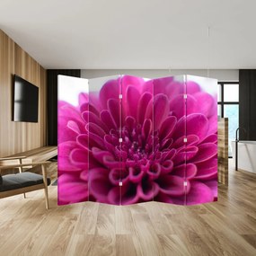 Paravan - Floare (210x170 cm)