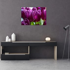 Tablou pe sticlă cu lalele (70x50 cm)