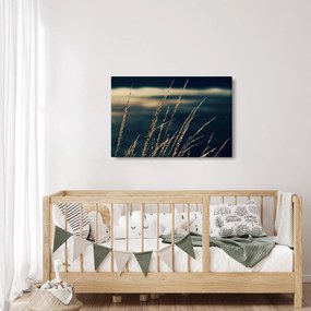 Tablou cu ierburi (90x60 cm)