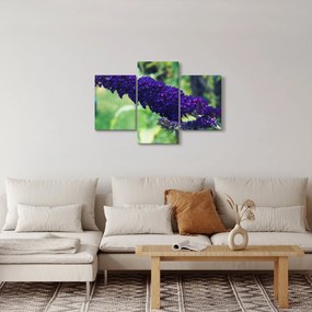 Tablou cu floare albastră (90x60 cm)