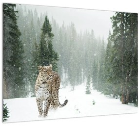 Tablou cu leopard în zăpadă (70x50 cm), în 40 de alte dimensiuni noi