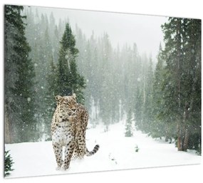 Tablou cu leopard în zăpadă (70x50 cm)