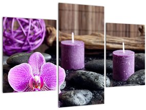 Tablou - Relaxare (90x60 cm)