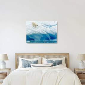 Tablou pe sticlă - Ursul polar (70x50 cm)