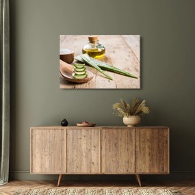 Tablou - Aloe vera (90x60 cm)