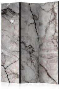 Paravan - Grey Marble [Room Dividers]
