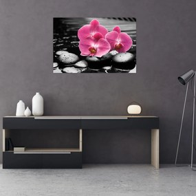 Tablou - Orhidee roz (90x60 cm)