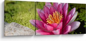Tablou - Lotus (cu ceas) (90x30 cm)