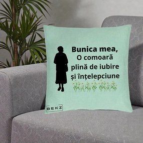 Cadou pentru Bunica - Perna Personalizata Bunica Mea Comoara Iubire Intelepciune Silueta cu Nepoata, 40x40 cm, Verde Menta, Husa Detasabila, Perna Inclusa, BEKZ®