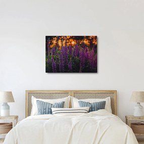 Tablou - Flori de lupin (70x50 cm)