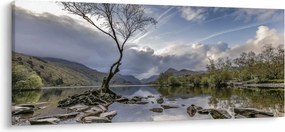 Tablou cu râu și copac (120x50 cm)