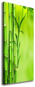 Tablou pe pânză Bambus