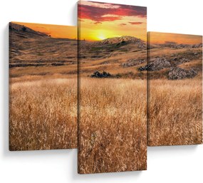 Tablou cu câmp (90x60 cm)