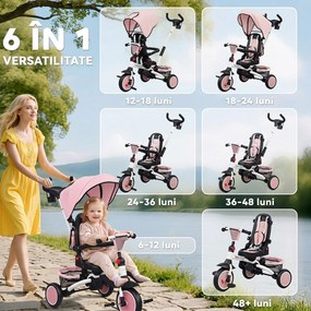 AIYAPLAY Tricicletă 6 în 1 pentru Copii, cu Mâner Parental și Scaun Rotativ, 111,5x52x98 cm, Roz | Aosom Romania
