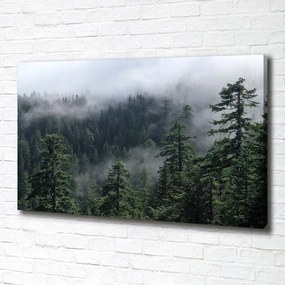 Pictură pe pânză Ceață pădure