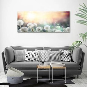 Imprimare tablou canvas Domeniu de păpădia