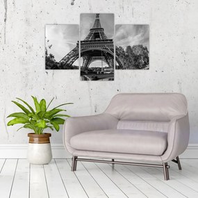 Tablou - Turnul Eiffel, alb-negru (90x60 cm)
