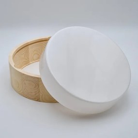 Plafonieră baie NATURAL 3xE27/15W/230V IP54 pin Ø 37 cm