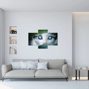 Tablou cu pisica (90x60 cm)