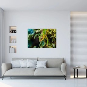Tablou cu cameleon (90x60 cm)
