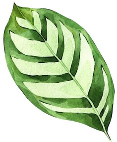 Ilustrație Watercolor hand painted green tropical leaves,, DZHAMILIA ABDULAEVA