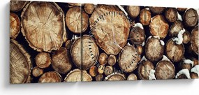 Tablou - Lemn în zăpadă (cu ceas) (90x30 cm)