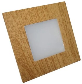 Corp de iluminat LED de orientare STEP LIGHT 16xLED/1W/230V Emithor 48307