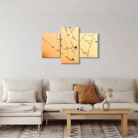Tablou cu pânză de pâianjen cu rouă (90x60 cm)