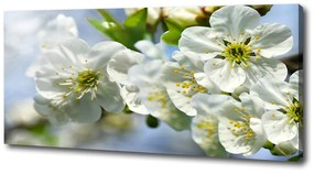 Pictură pe pânză Floare de cires